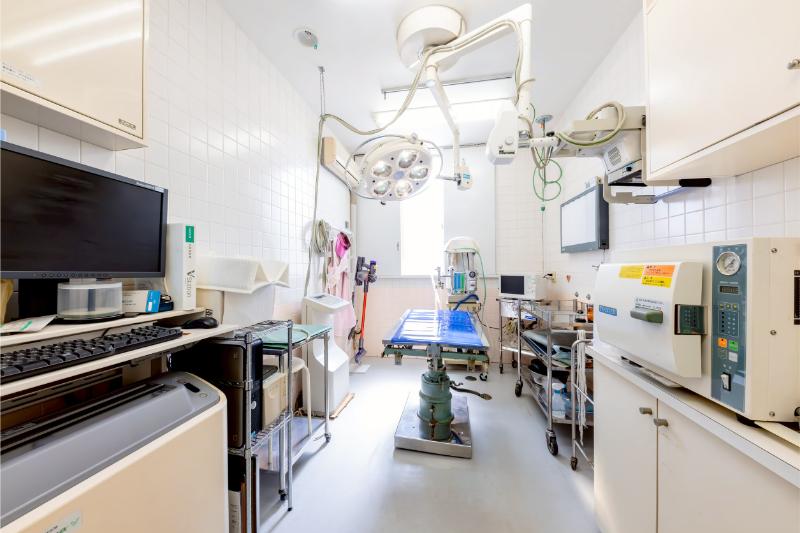 ハーモニー動物病院