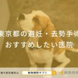 東京都の避妊・去勢手術  おすすめしたい医院