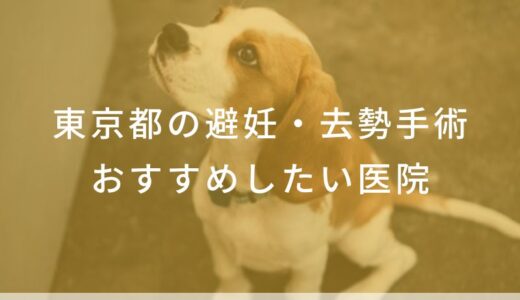 【2025年】東京都の避妊・去勢手術  おすすめしたい5医院