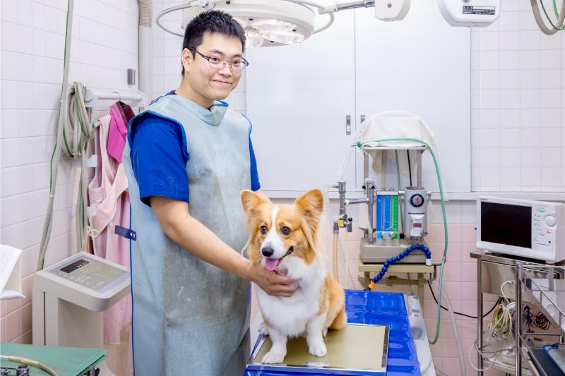 ハーモニー動物病院