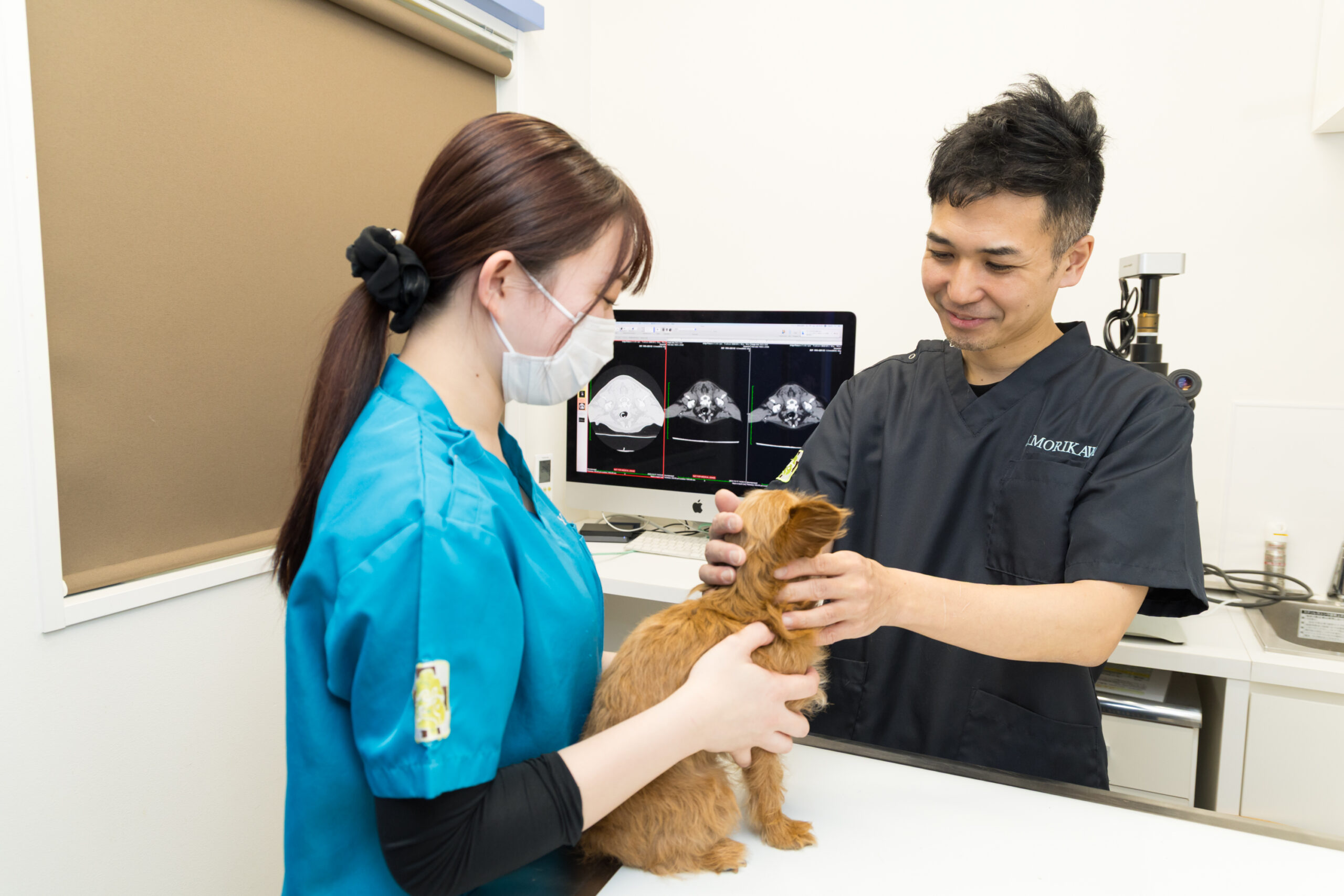 もりかわ動物病院