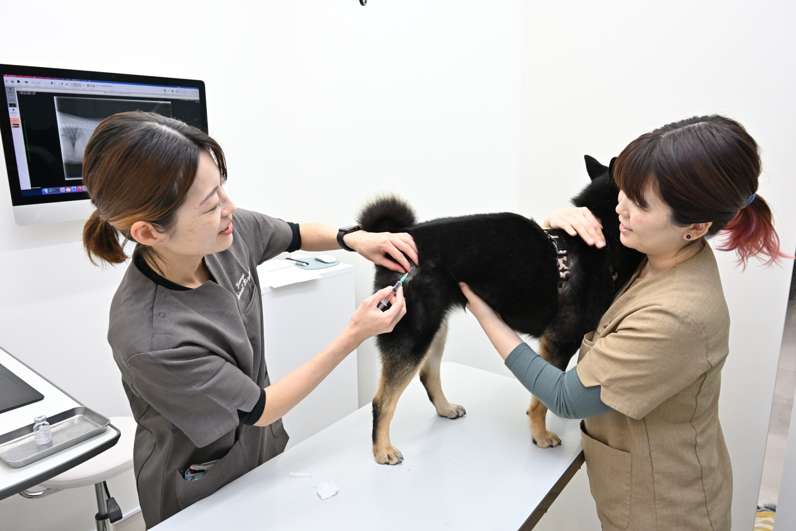 よもぎ動物病院photo
