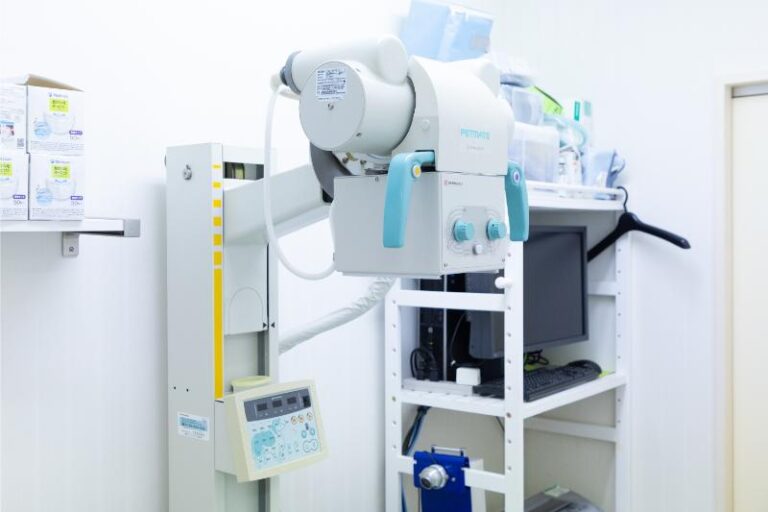 駅前通り動物病院