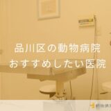 【2025年】品川区の動物病院 おすすめしたい5医院