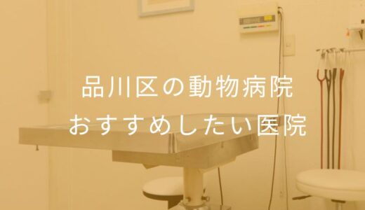 【2025年】品川区の動物病院 おすすめしたい5医院