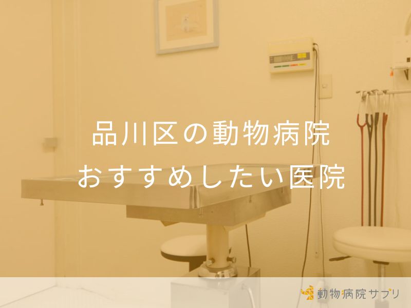 品川区の動物病院 おすすめしたい医院