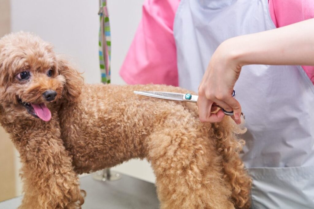 駅前通り動物病院