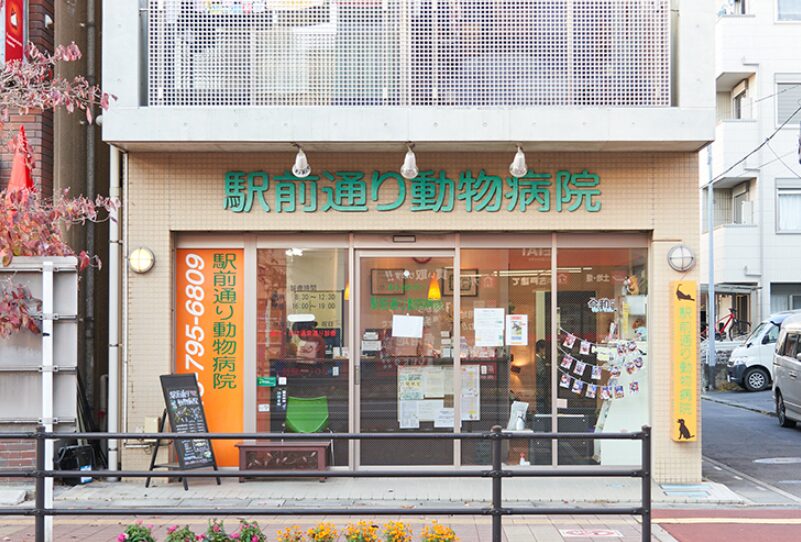 駅前通り動物病院