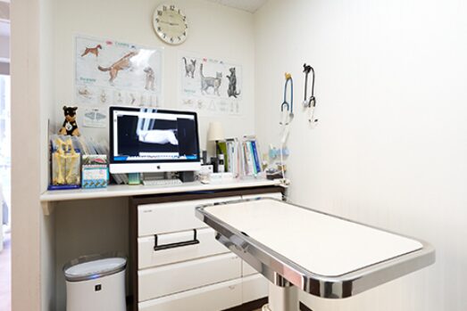 駅前通り動物病院