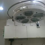 動物病院の手術が怖いと感じる場合の対処法や手術に関する基礎知識とは