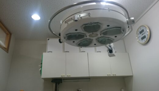 動物病院の手術が怖いと感じる場合の対処法や手術に関する基礎知識とは