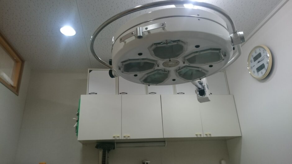 動物病院の手術が怖いと感じる場合の対処法や手術に関する基礎知識とは