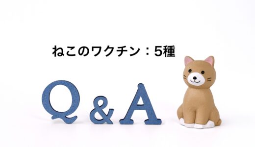 猫への5種混合ワクチン接種の効果や接種時期、接種する際の注意点などを解説