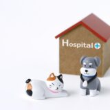 動物病院の待合室でトラブルが起きたときの対処法や飼い主が取るべき対策などを解説