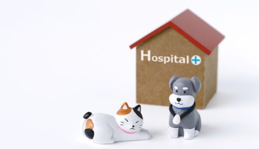 動物病院の待合室でトラブルが起きたときの対処法や飼い主が取るべき対策などを解説