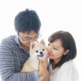 ペットが動物病院に入院した際の面会基準と手続きの流れ、注意点などを解説