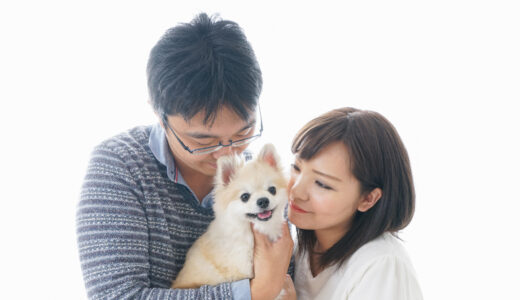 ペットが動物病院に入院した際の面会基準と手続きの流れ、注意点などを解説