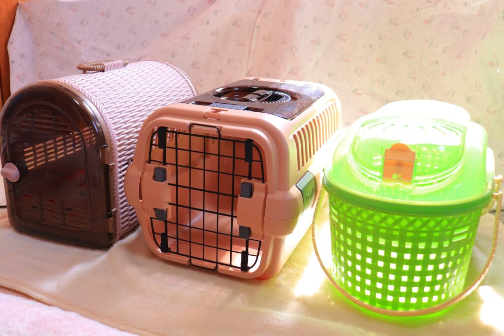 猫がキャリーに入らない理由