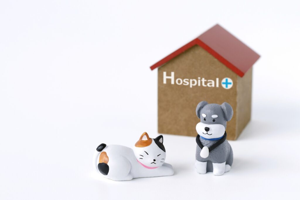 引っ越し先での動物病院の探し方