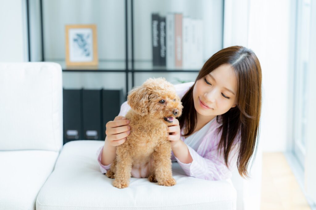 犬が白い泡を吐いたときの対応方法