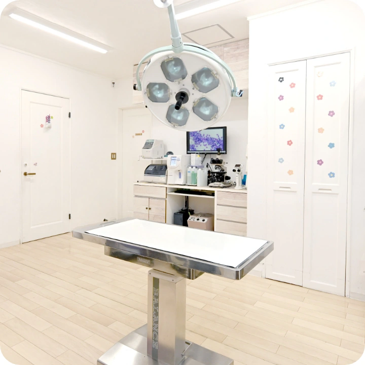 エルマーどうぶつ病院