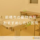 【2025年】前橋市の動物病院 おすすめしたい5医院