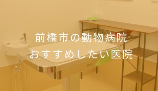 【2025年】前橋市の動物病院 おすすめしたい6医院