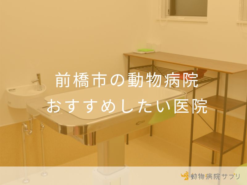 前橋市の動物病院 おすすめしたい医院