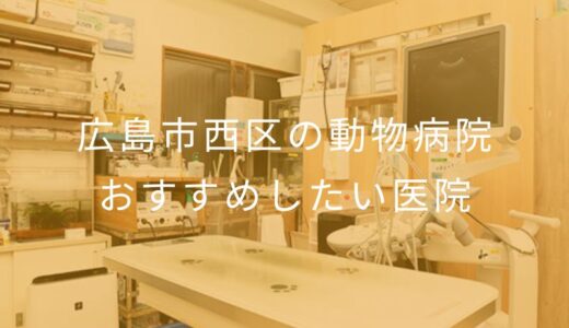 【2025年】広島市西区の動物病院 おすすめしたい5医院