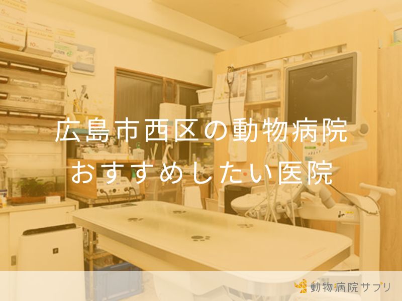 広島市西区の動物病院 おすすめしたい医院