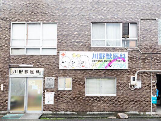 川野獣医科