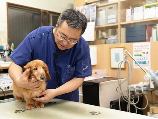川野獣医科