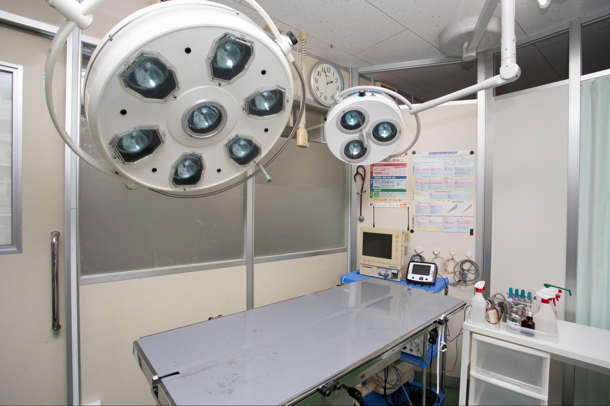 ドラセナ動物病院photo