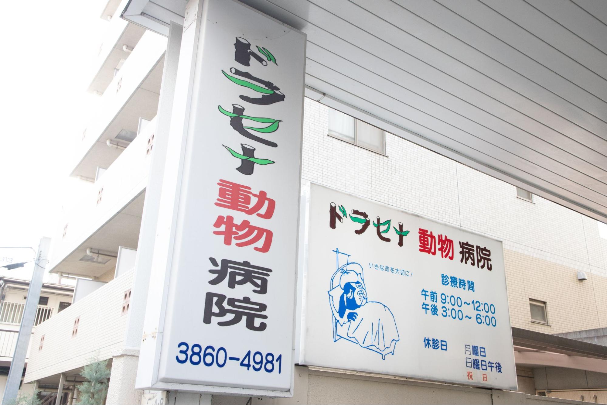 ドラセナ動物病院photo