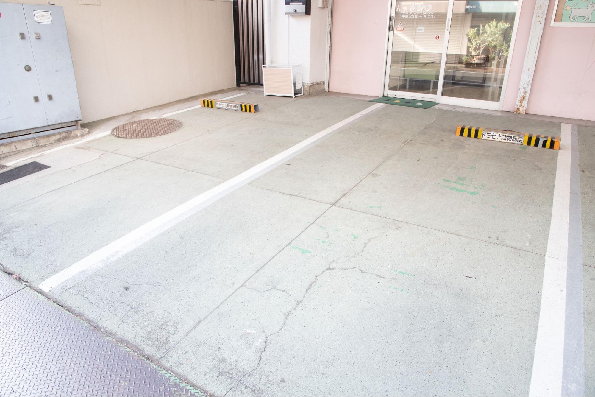 ドラセナ動物病院photo