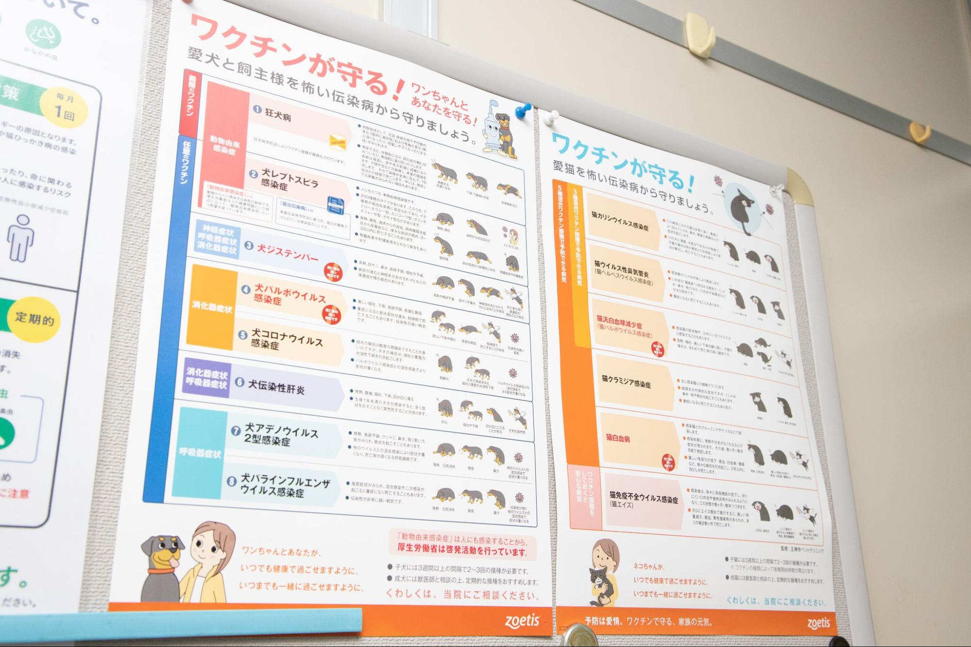 ドラセナ動物病院photo