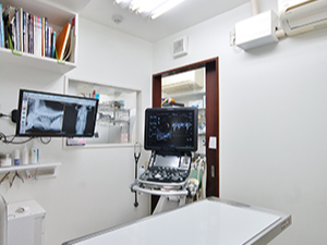 もりかわ動物病院