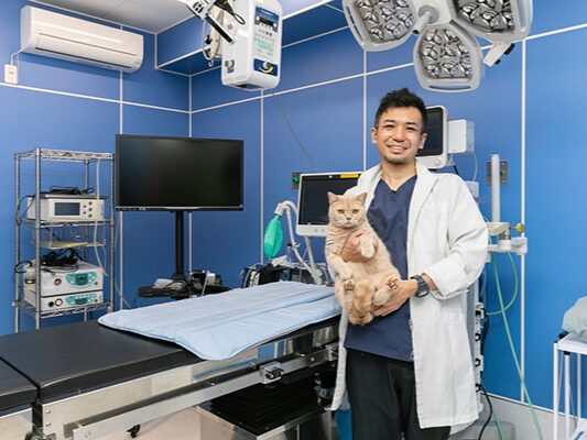 もりかわ動物病院