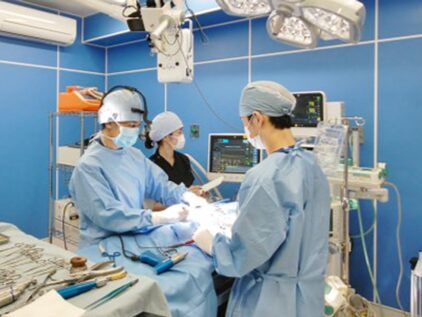 もりかわ動物病院