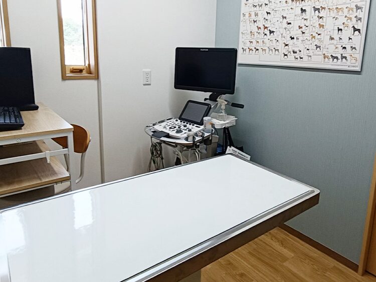 にしおおみや動物病院