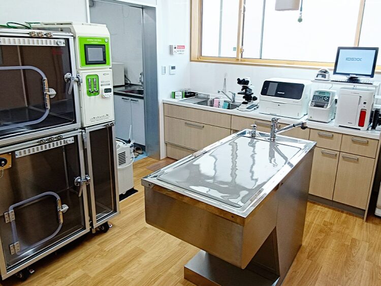 にしおおみや動物病院