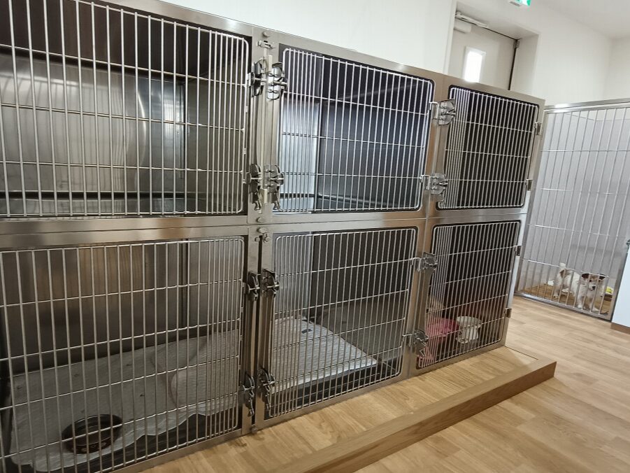 にしおおみや動物病院