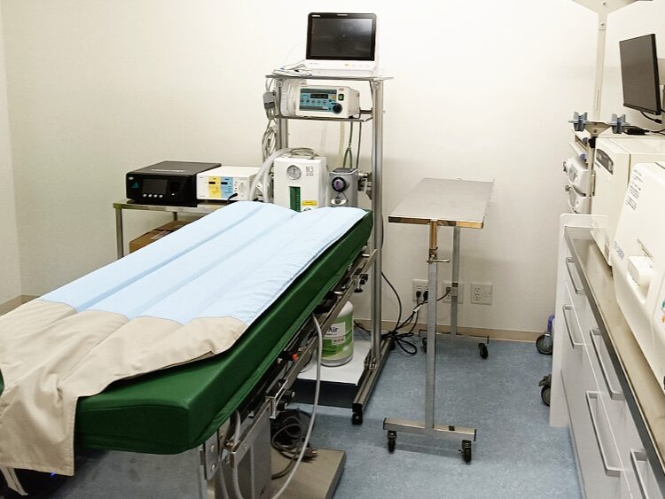 にしおおみや動物病院