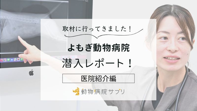 よもぎ動物病院photo