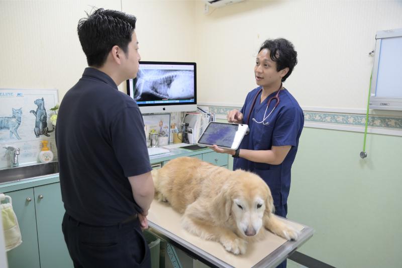 大田中央動物病院