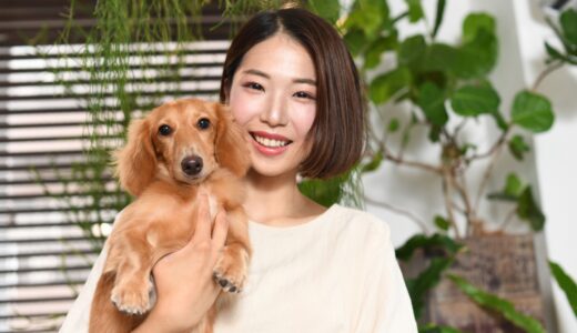 しつけ教室に通う犬のやめどきや費用相場、選び方を解説！