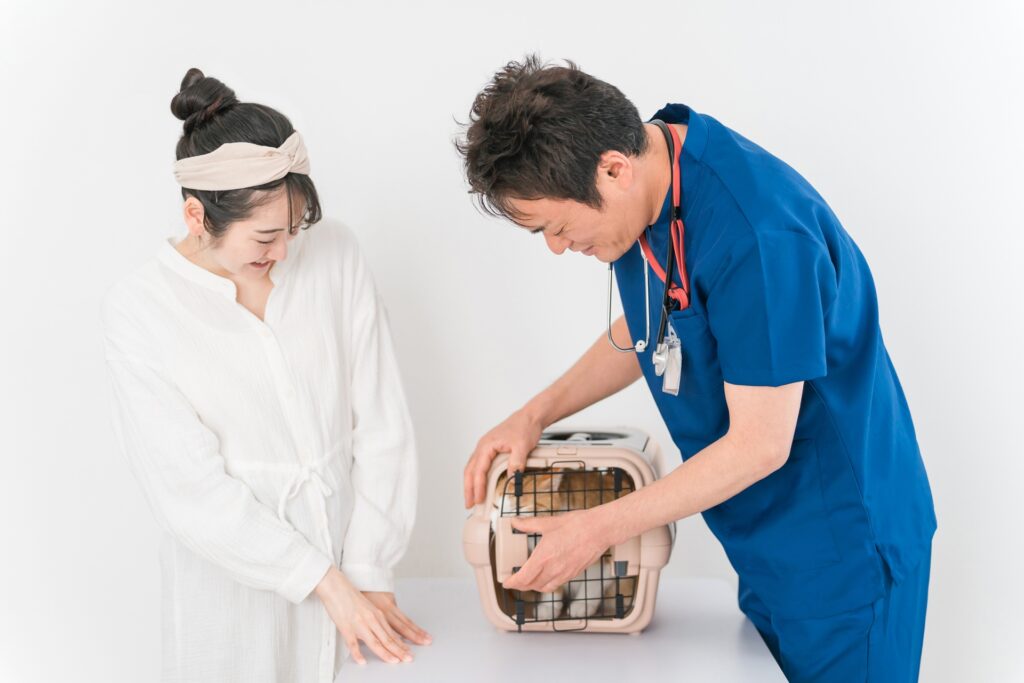 動物病院で獣医師に診察を受ける猫と女性