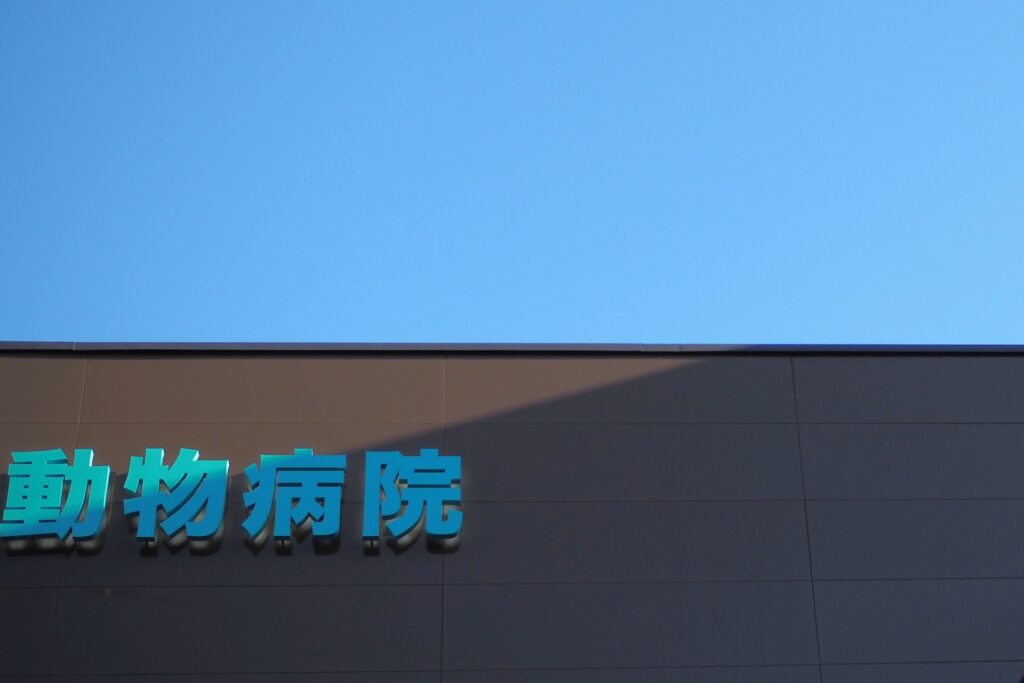 動物病院の外観と青空（漢字表記）