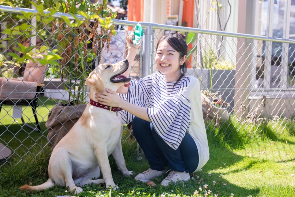 犬の世話をする女性