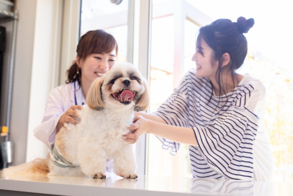 獣医さんと飼い主